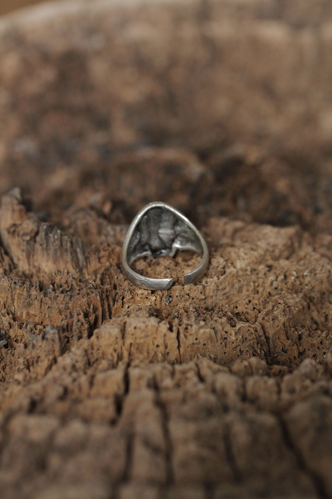 Ayarlanabilir Motifli Kuru Kafa Tasarımlı Erkek Yüzük - Görsel 2