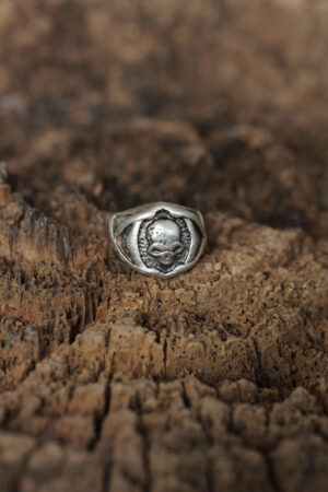 Ayarlanabilir Kuru Kafa Tasarımlı Erkek Yüzük