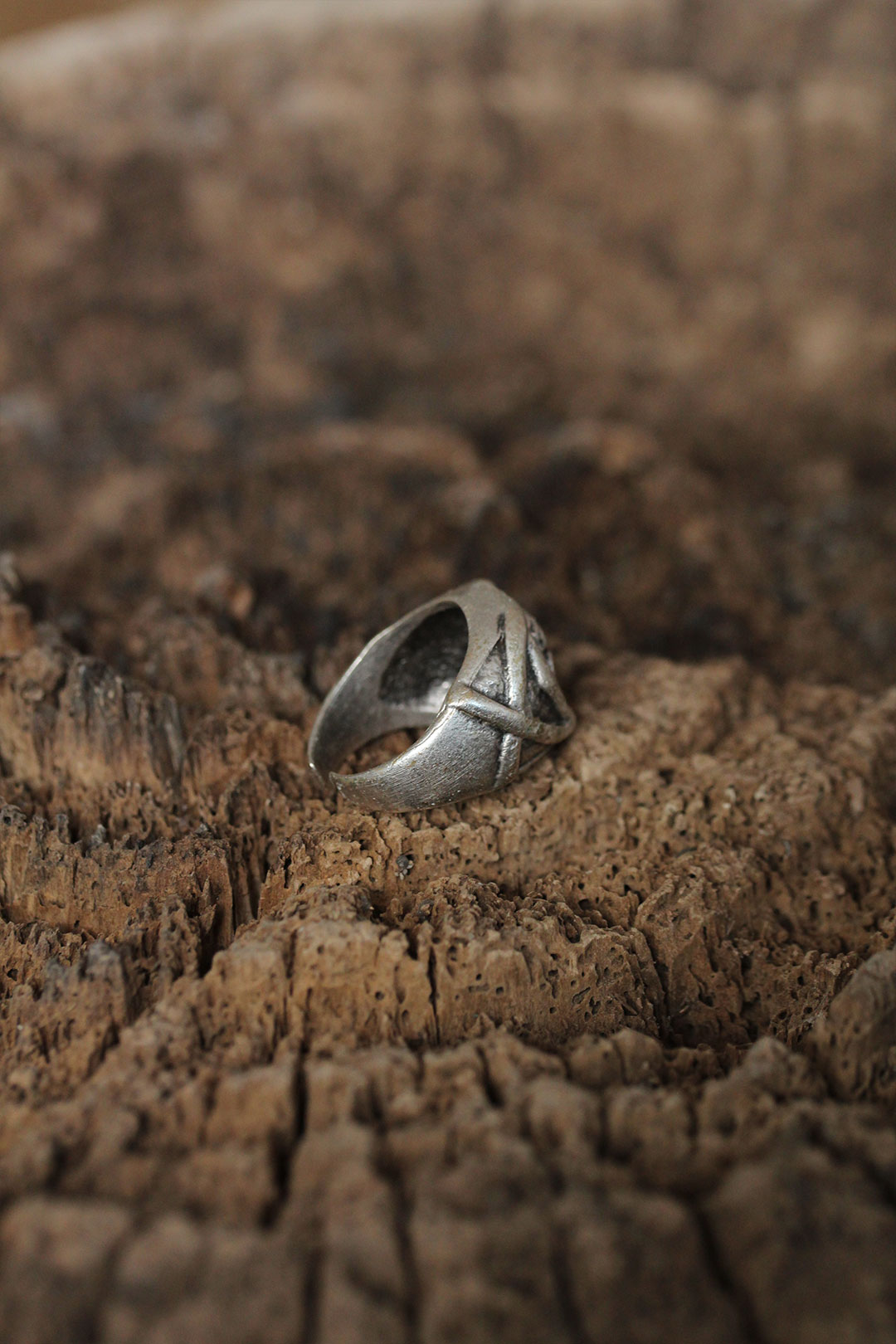 Ayarlanabilir Kuru Kafa Tasarımlı Erkek Yüzük - Görsel 2