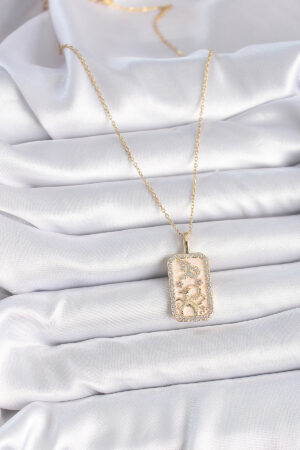 1731499047_BKO9459-2