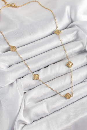 1751982434_BKO10378-1