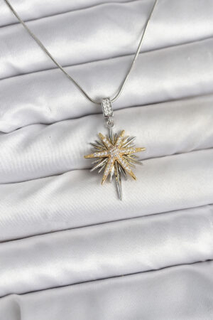 316L Çelik Zincir Gümüş Renk Kutup Yıldızı Model Kadın Kolye