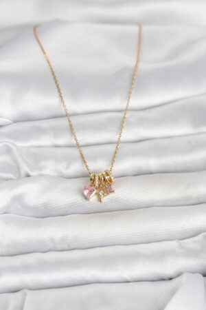 1775055477_BKO11011-2