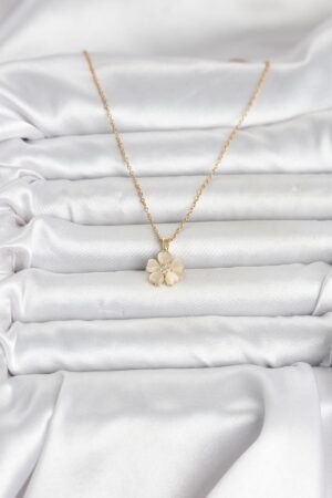 1775642912_BKO11020-2